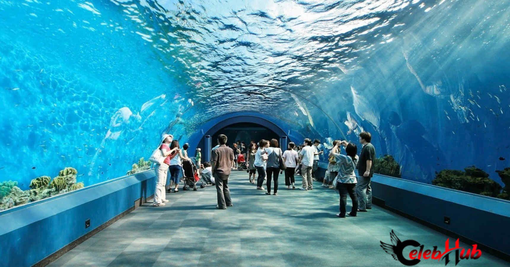 Underwater park