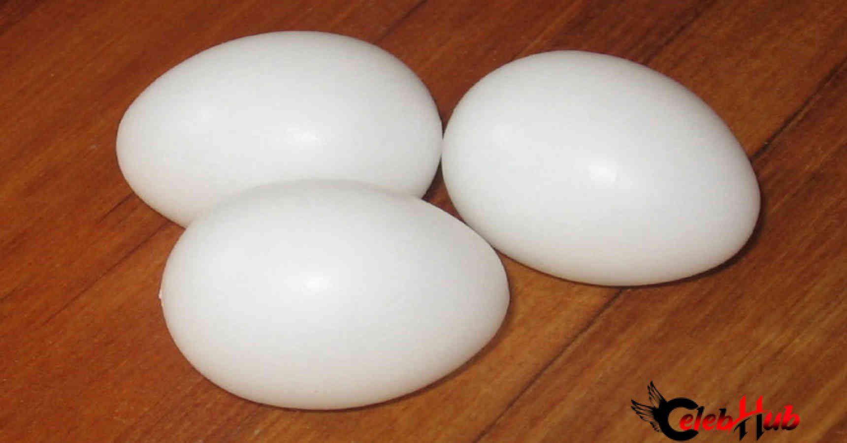 Plastic egg