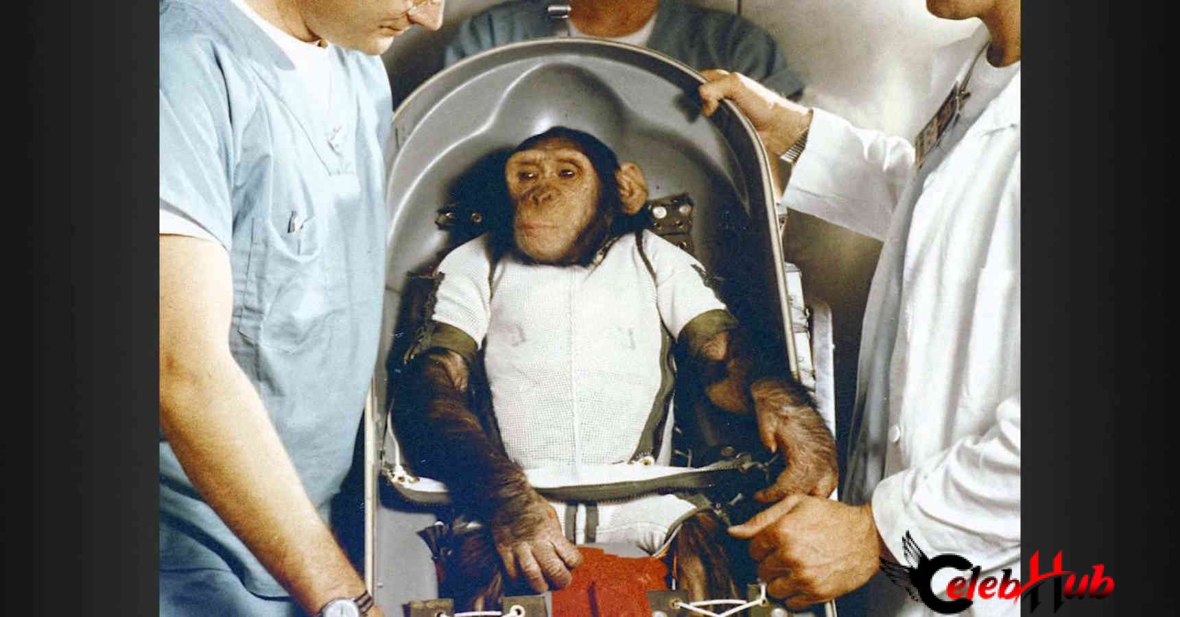 Monkey send to tiyangong space station 