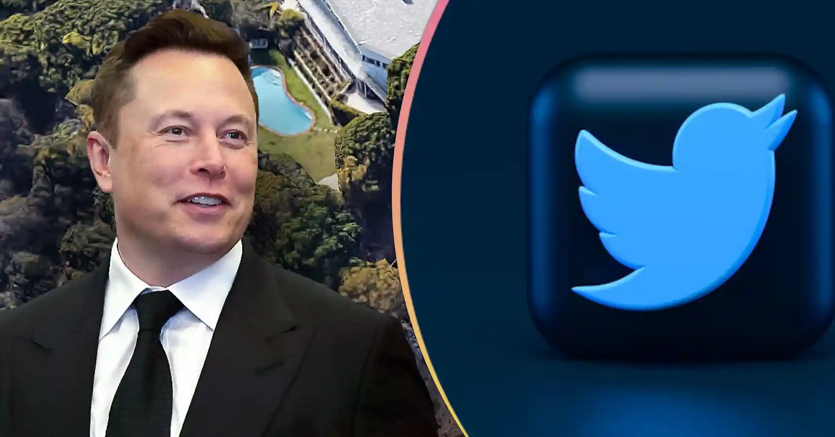 elon musk himself has given this message to everyone about the logo of twitter